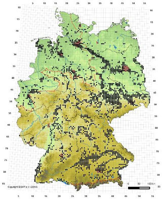 Verbreitung von Reptilien und Amphibien in Deutschland (*) - Mareike
