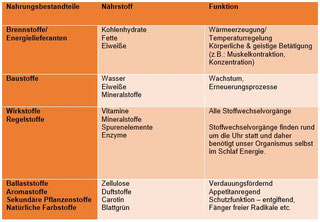Die Ernährung, Nährstoffe & Gesundheit - Happiness und Health