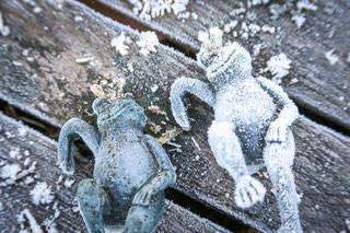 Zwei Froschfiguren aus Metall mit Raureif überzogen.
