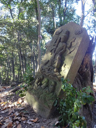 米沢の森　市原市　庚申　山歩き