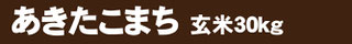 こまち30k