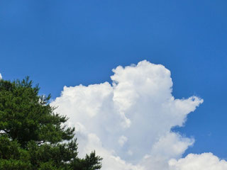 純白の雲、青空とのコントラストが真夏を感じさせる