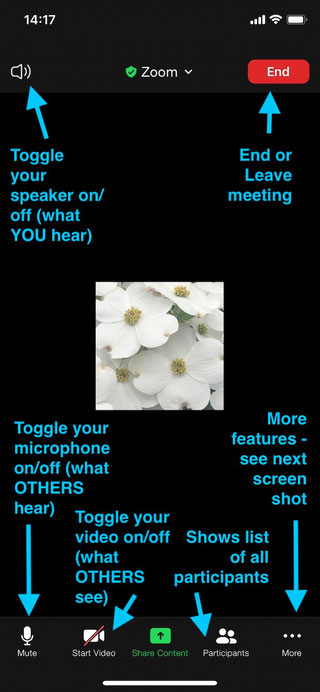 Zoom on Mobile Devices - movingtopresence