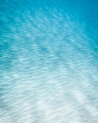 Wasser Online-Kongress – Referenten gesucht