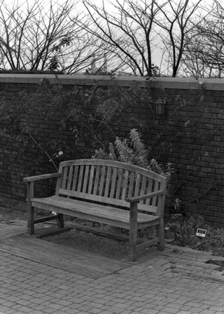 Agfa Copex Rapid