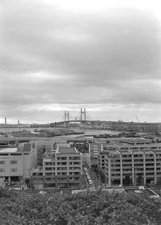 Agfa Copex Rapid