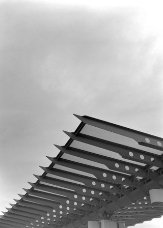 Agfa Copex Rapid