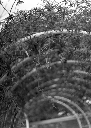 Agfa Copex Rapid