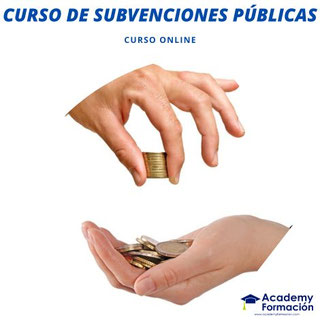 curso de subvenciones públicas