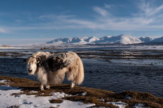 Mongolie Altai. Bruno Deveze