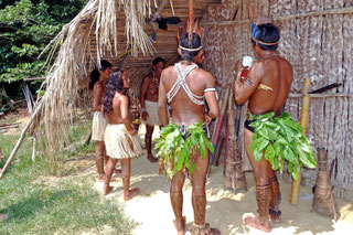 Manaus Bresil Belem Rio de Janeiro