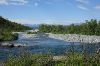 KUNGSLEDEN