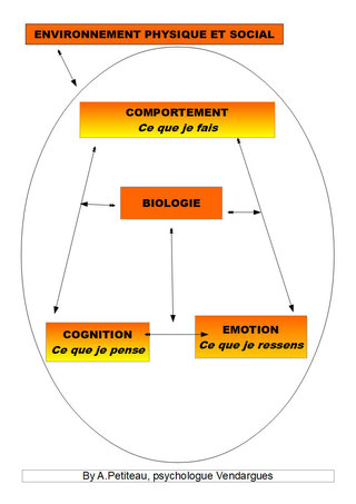 Modèle interractif expliquant les 3 niveaux d'intervention des TCC : comportemental, cognitif et émotionnel. Petiteau, psychologue Baillargues