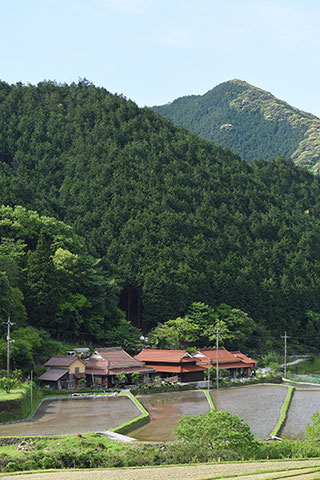 湯本温泉から俵山温泉へ向かう途中で。山陰路では石州瓦と田んぼの風景を幾度となく見かけました。この風景は山陰を訪ねた時の楽しみのひとつです