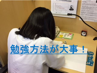 静岡市駿河区 勉強方法学習塾 「ハムスター」だそうです。ネコかと思った💧