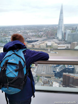 Vue sur Londres depuis sky garden