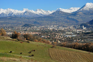 Agriculture périurbaine (A. Rivet)