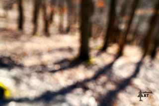 Der Buchenwald schwelgt voller Herbstfarben, der Weg ist gesäumt von orange und gelb-grün farbigen Blättern. Die Luft ist leicht modrig-würzig. Herrlich! 