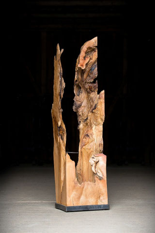 Dekorationen - Wildholzmöbel in natürlicher Eleganz