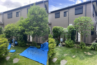 町田市で剪定する植木屋「纏造園」