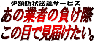 少額訴状送達サービスでしてもらえること