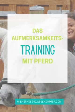 KAP: DAS Aufmerksamkeitstraining mit Pferd! Als KAP Trainer arbeitest Du pferdegestützt und hilfst Kindern dabei, ihre Aufmerksamkeitsfähigkeit zu verbessern. Das KAP Training lässt sich prima in die Reitpädagogik oder Reittherapie einbinden.