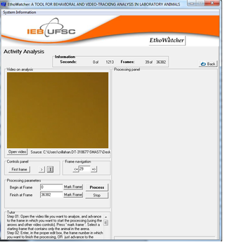 Screenshot of the ethowatcher software.