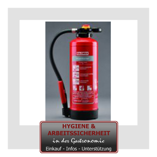 Feuerlöscher Gloria P6 Pro (ABC)