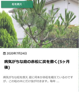 #女松の会
