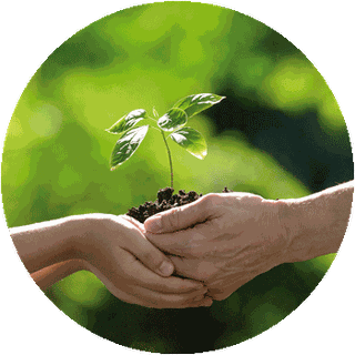 mbsr-kurse - Mindful Parenting Kurse, Achtsamkeit in der ...