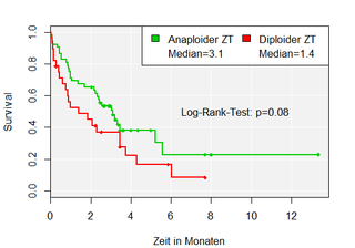 Kaplan-Meier-Kurve R - Survival Analysis - Log-Rank-Test - Survival Curve