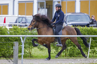 FIZO Verdn - Kvittur f. Akri