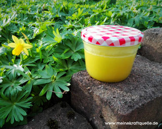 Naturkosmetik, Creme aus Gänseblümchen, selbstgemachte Creme