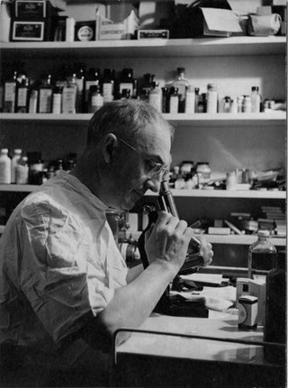 Carlos saura photography image