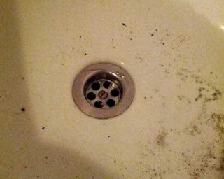 Abfluss Dusche reinigen. So wird der Duschabluss schnell wieder frei -