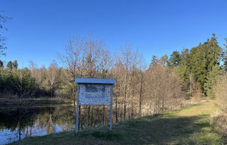 Foto: Hans Weinmann