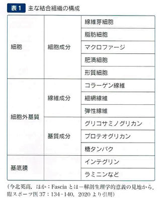 主な結合組織の構成