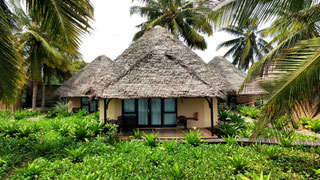 Bungalows directly face the beach at the Nautilus Pemba - Dante Harker