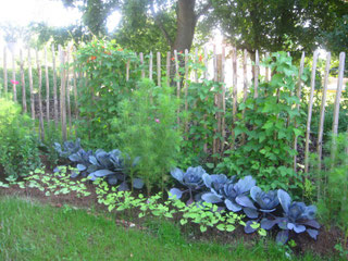 Gartentherapie - Der dritte Frühling - Gärten für Menschen mit Demenz