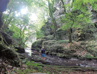 Hunsrücker Canyontrail Baybachklamm Ehrbachklamm Trailrunning SaarHunsrückSteig Traumschleifen Saar-Hunsrück