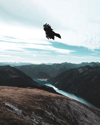 P.Pastourmatzis/unsplash