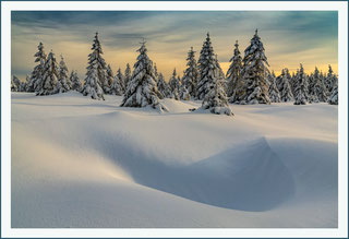 Auf den Brettern, - Naturfotografie Harz Eckhardt Borzym