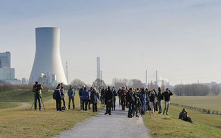 Exkursion ins Naturschutzgebiet Rheinaue Walsum (Foto: Jens Hartmann)