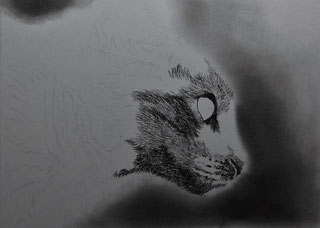 ◇◇ プロフィール・作品制作過程凡例 ◇◇ - 白井真澄 アートの