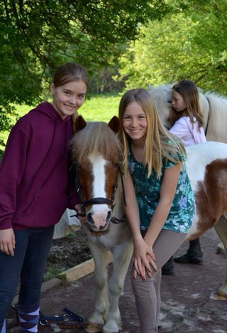 UNSER KONZEPT - reitclub-kronberg1s Webseite!