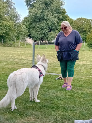 canivacances berger blanc suisse éducation clicker
