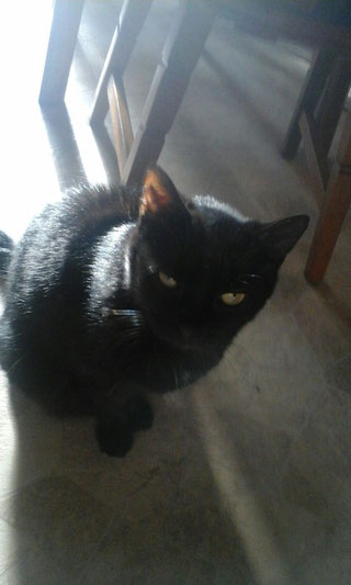 Foto vom Halter