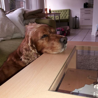 Samba, Foto vom Pensionsfrauchen