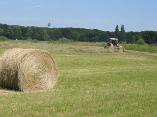 Foto: Biostation Neuss