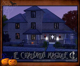 Le Chaudron Magique ( Bar de quartier Sims 3)